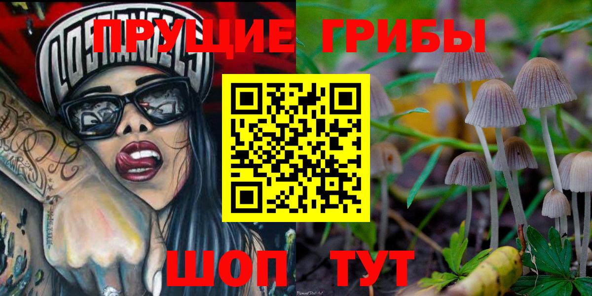Галлюциногенные грибы MAGIC MUSHROOMS Великий Новгород